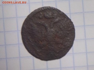 полушка 1734 ,1730 06.09.2017 22-00 московское - DSCN0067.JPG