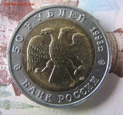 Красная Книга: 50 рублей 1993, Медведь - IMG_6409.JPG