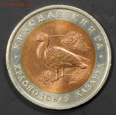 КК, 10 рублей 1992, Казарка. С 500. До 07.09 - 009