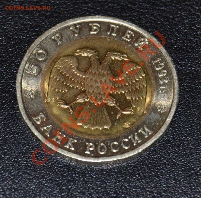 Красная книга,1993 год, Мишка,до 07.03.2011 - DSC_0227.JPG