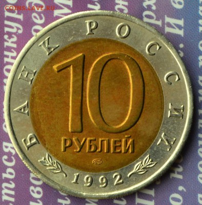 КК Среднеазиатская кобра до 11.09 в 22:30 - кобра р