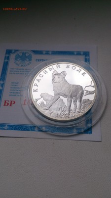 Красная книга 2005 Красный волк до 12.09. 22.00 - DSC_0904.JPG