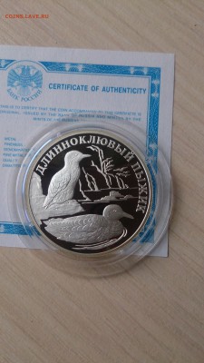 Красная книга 2005 Пыжик до 12.09. 22.00 - DSC_0921.JPG