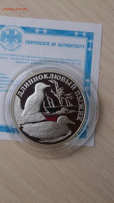Красная книга 2005 Пыжик до 12.09. 22.00 - DSC_0919.JPG
