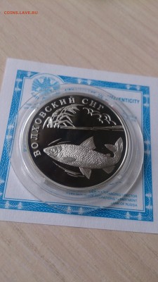 Красная книга 2005 Волховский сиг до 12.09. 22.00 - DSC_0936.JPG