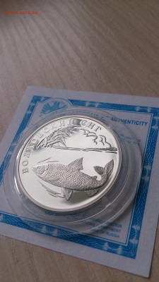 Красная книга 2005 Волховский сиг до 12.09. 22.00 - DSC_0942.JPG