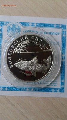 Красная книга 2005 Волховский сиг до 12.09. 22.00 - DSC_0935.JPG
