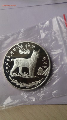 3 Рубля 1995 Рысь до 12.09. 22.00 - DSC_1032.JPG