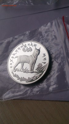 3 Рубля 1995 Рысь до 12.09. 22.00 - DSC_1028.JPG