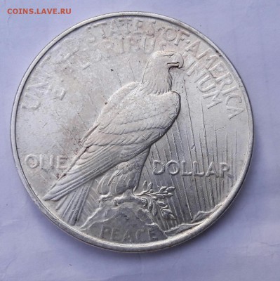 США 1 доллар 1922 UNC до 10.09 22:00 - 20170906_170558