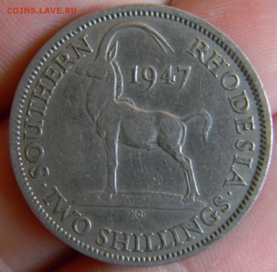 2 шиллинга южная родезия 1947 - DSCN1181.JPG