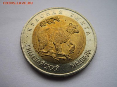 кк 93 МЕДВЕДЬ ац- до 10.09.2017 в 22:30 - IMG_5640.JPG