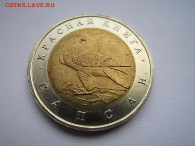 кк 94 САПСАН ац- до 10.09.2017 в 22:30 - IMG_5604.JPG