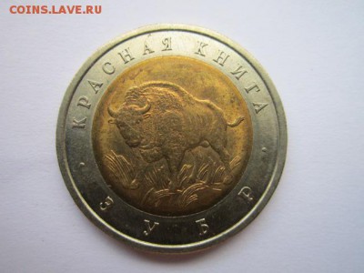 кк 94 ЗУБР ац- до 10.09.2017 в 22:30 - IMG_5615.JPG