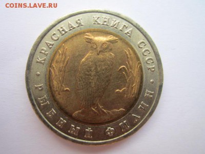 кк 91 ФИЛИН ац- до 10.09.2017 в 22:30 - IMG_5659.JPG