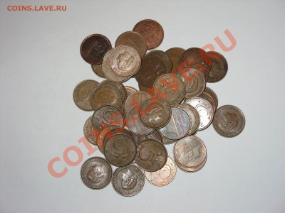 50 монет по 5 центов Нидерланды. До 09.03.2011 23.50 Мск - Изменение размера SDC10015.JPG