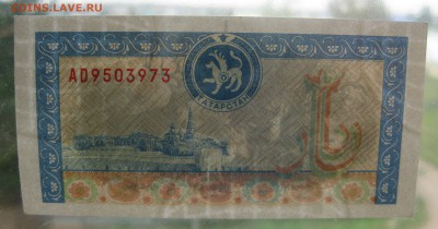 Чек Татарстана aunc, Олени , до 12.09 - IMG_0407.JPG