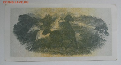 Чек Татарстана, Лошади , до 12.09 - IMG_0403.JPG