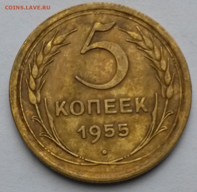5 копеек 1955 года    до 16.09.17.      22.00 - 2