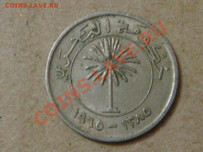 -v- Бахрейн 50 филс 1965г. до 10.03(21.00) - DSC00878.JPG