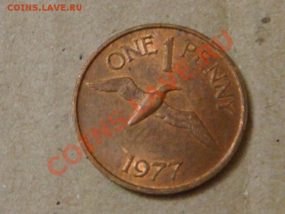 -v- Гернси 1 пенс 1977г. до 10.03(21.00) - DSC00903.JPG