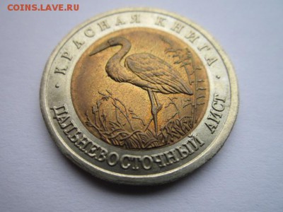 КК 93 АИСТ ац- до 17.09.2017 в 22:30 - IMG_5962.JPG