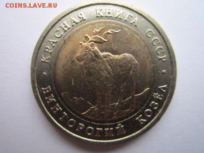 КК 91 КОЗЕЛ ац до 17.09.2017 в 22:30 - IMG_5969.JPG