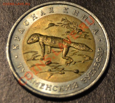 Красная книга, 93 год, зублефар и аист, до 07.03.2011 - DSC_0314.JPG