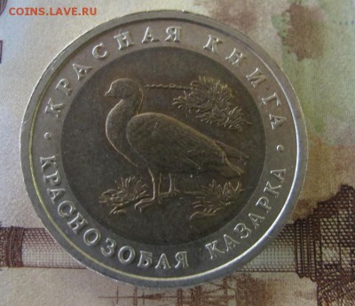 Красная Книга: 10 рублей 1992, Казарка - IMG_6443.JPG