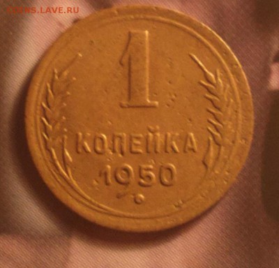 1к50-шт.3-редкая-до 15 9 17 22 30 - 2017-09-11-8203_cr