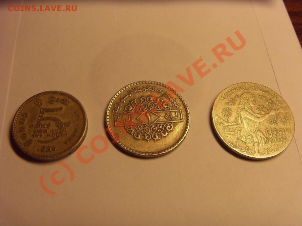 оцените коллекцию. - 123456.JPG