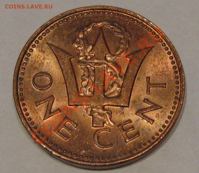 Барбадос 1 цент  1981        Окончание:11.03.11. в 22-00 - IMG_0830