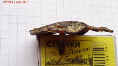 Знак Вильманстрандский мушкетёрский 12Ф.С.П. Без реставрации - DSC00227.JPG