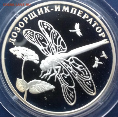 Дозорщик 2 Рубля 2008г. до 17.9.17 в 22.00 - IMG_8947.JPG