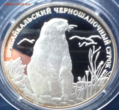Сурок 2 рубля 2008г. до 17.9.17 в 22.00 - IMG_8949.JPG