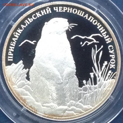 Сурок 2 рубля 2008г. до 17.9.17 в 22.00 - IMG_8950.JPG
