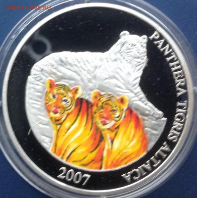 Амурский тигр Монголия 2007г. До 17.9.17 в 22.00 - IMG_8943.JPG