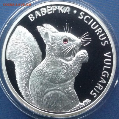 Белка 20 рублей 2009г.Белорусь до 17.9.17 в 22.00 - IMG_8936.JPG
