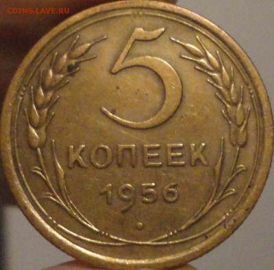 5 копеек 1956 г., до 22:00 мск 17.09.2017 г. - 5-56-1.JPG