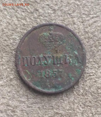 Полушка 1857 до 18.09.17 в 22.00 - IMG_2515.JPG