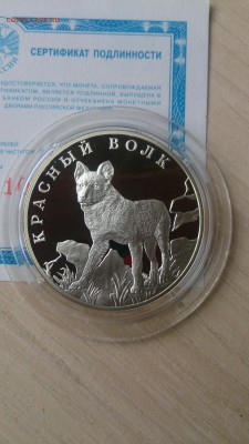 Красная книга 2005 Красный волк до 20.09. 22.00 - DSC_0906.JPG