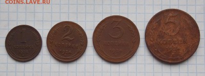 Медные монеты 1924 г., до 17.09.2017 г. в 22.00 по Москве - DSCN0778.JPG