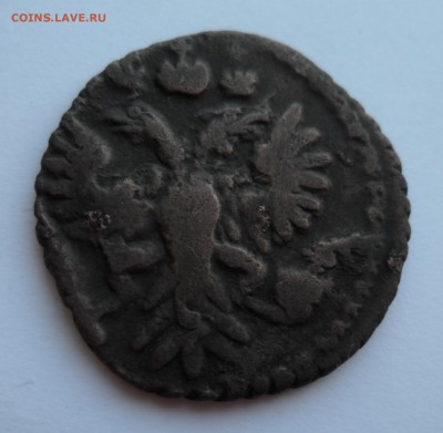 Полушка 1731г. (кривой орёл) - 009.JPG