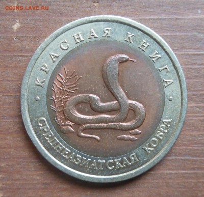кк кобра 1992г   до 17.9.17 22-00 короткий - DSCN1610.JPG