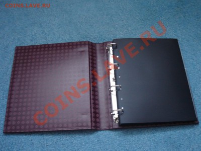 у - DSC07981.JPG