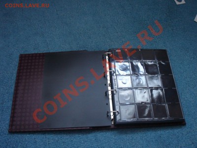 у - DSC07982.JPG
