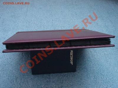 у - DSC07983.JPG