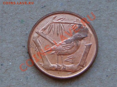 -v- Кайманы 1 цент 2005г. до 10.03(21.00) - DSC00965.JPG