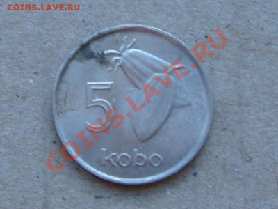 -v- Нигерия 5 кобо 1974г. до 10.03(21.00) - DSC00969.JPG