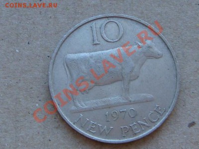 -v- Гернси 10 нов.пенса 1970г.Корова до 10.03(21.00) - DSC00977.JPG